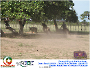 2° Pega de Boi Beneficente 22.03.26-130