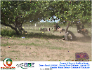 2° Pega de Boi Beneficente 22.03.26-135