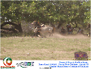 2° Pega de Boi Beneficente 22.03.26-143