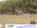 2° Pega de Boi Beneficente 22.03.26-144