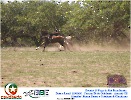 2° Pega de Boi Beneficente 22.03.26-146