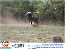 2° Pega de Boi Beneficente 22.03.26-150