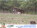 2° Pega de Boi Beneficente 22.03.26-154