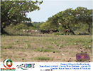2° Pega de Boi Beneficente 22.03.26-49