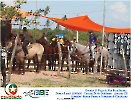 2° Pega de Boi Beneficente 22.03.26-64