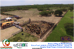 2° Pega de Boi Beneficente 22.03.26-7