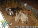 Circuito Nacional de Rodeio 29.07.07-56