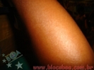Russas Folia Sexta 28.11.08-17