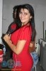 Pagado VIP 27.05.11-8