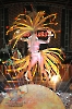 Rainha do Carnaval 02.02.13-437