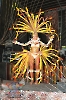 Rainha do Carnaval 02.02.13-446