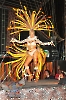 Rainha do Carnaval 02.02.13-448