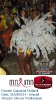 Carnaval Cultural 01.03.14-100