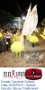 Carnaval Cultural 01.03.14-14