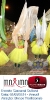 Carnaval Cultural 01.03.14-15