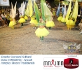 Carnaval Cultural 01.03.14-17