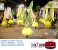 Carnaval Cultural 01.03.14-18