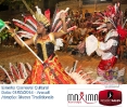 Carnaval Cultural 01.03.14-248