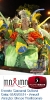 Carnaval Cultural 01.03.14-35