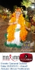 Carnaval Cultural 01.03.14-39