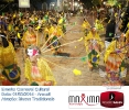 Carnaval Cultural 01.03.14-52