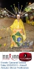 Carnaval Cultural 01.03.14-53