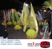 Carnaval Cultural 01.03.14-62