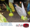 Carnaval Cultural 01.03.14-64