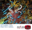 Carnaval Cultural 01.03.14-75