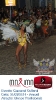 Carnaval Cultural 01.03.14-96
