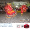Carnaval Cultural 02.03.14-121
