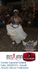 Carnaval Cultural 02.03.14-25