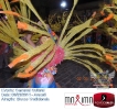 Carnaval Cultural 02.03.14-75