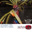 Carnaval Cultural 02.03.14-81