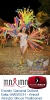 Carnaval Cultural 04.03.14-80