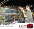 Domingo de Carnaval 02.03.14-241