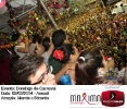 Domingo de Carnaval 02.03.14-332