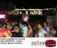Domingo de Carnaval 02.03.14-361