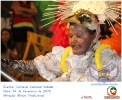 Carnaval Cultural 14.02.15-132