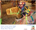 Carnaval Cultural 14.02.15-176
