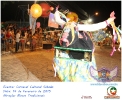 Carnaval Cultural 14.02.15-185