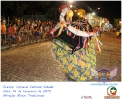 Carnaval Cultural 14.02.15-188