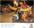 Carnaval Cultural 14.02.15-194