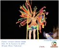 Carnaval Cultural 14.02.15-197