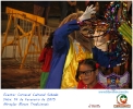 Carnaval Cultural 14.02.15-220