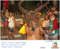 Carnaval Cultural 14.02.15-222