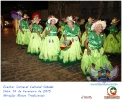 Carnaval Cultural 14.02.15-25