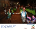Carnaval Cultural 14.02.15-27