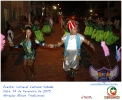 Carnaval Cultural 14.02.15-28