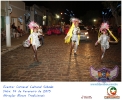 Carnaval Cultural 14.02.15-29